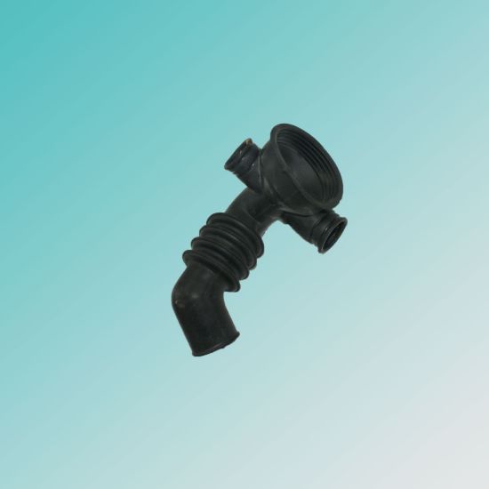 تصویر خرطومی پاكشوما راكد