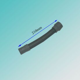 تصویر خرطومی سرگشاد 21 سانتی