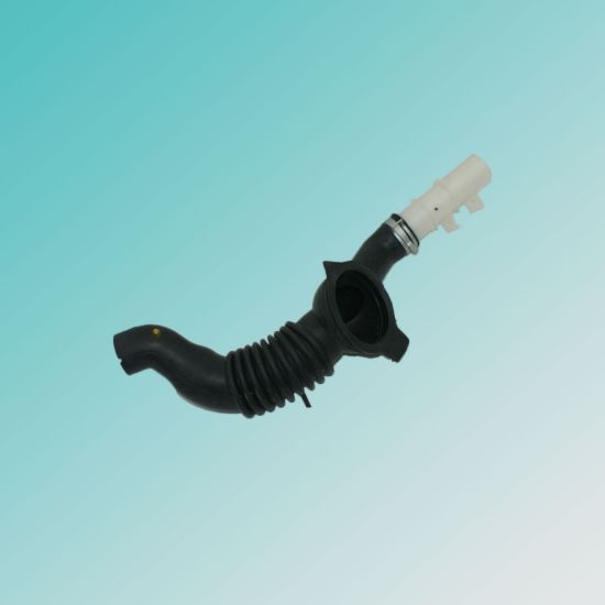 تصویر خرطومی راكد سه راهی جی پلاس